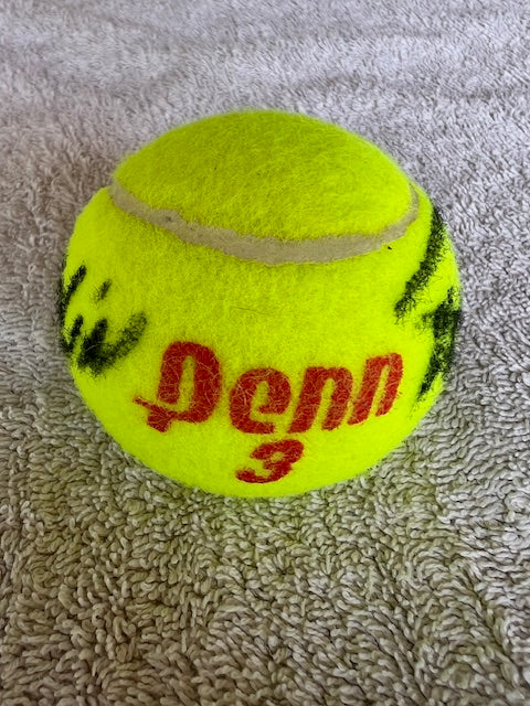 Kati's Favorite Tennis Ball 2