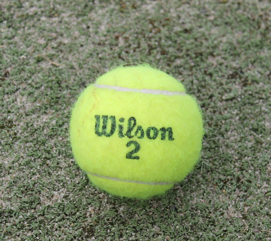 2023 Signed Tennis Ball (TEST)